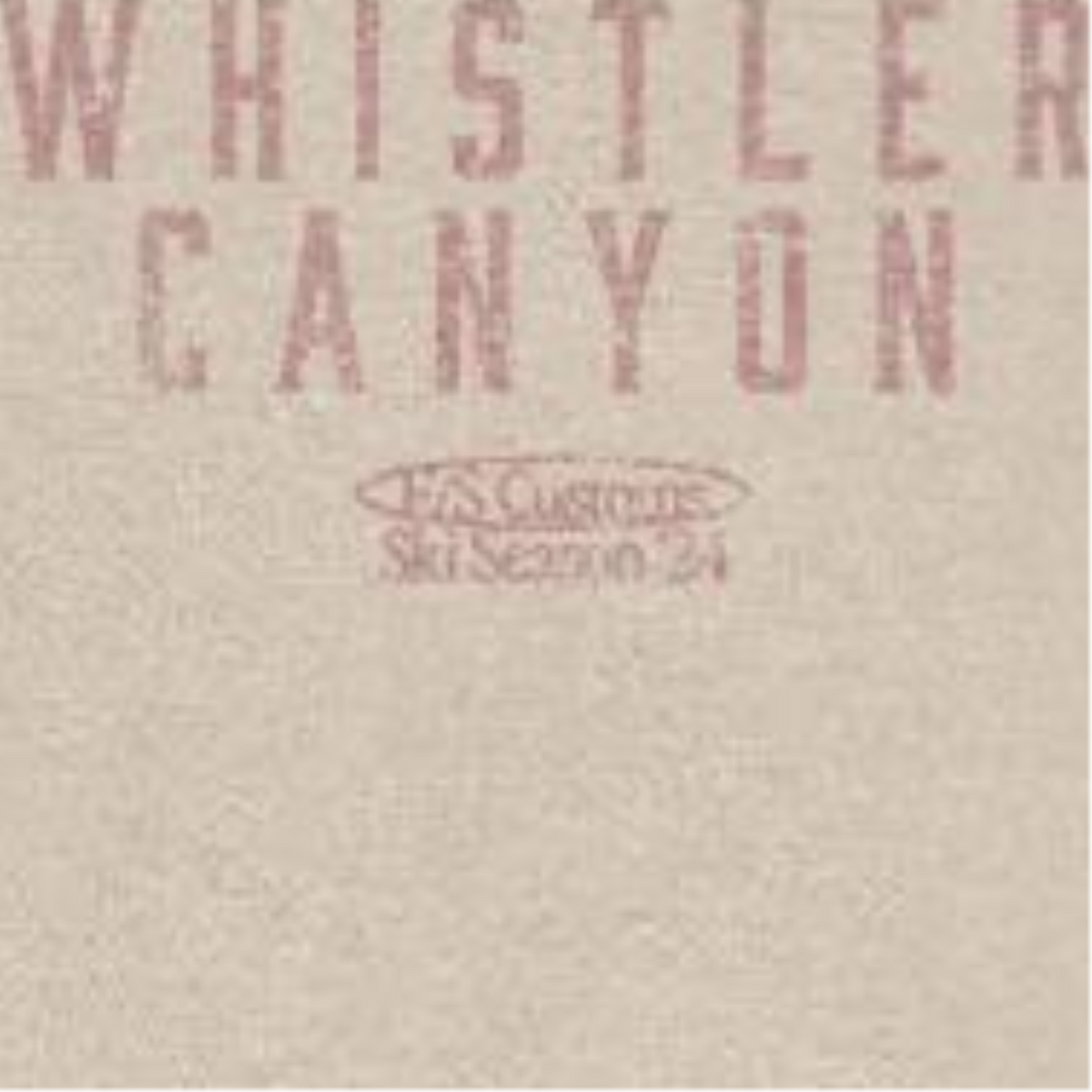 Snowboarding Whistler Light Front & Back Print T-Shirt