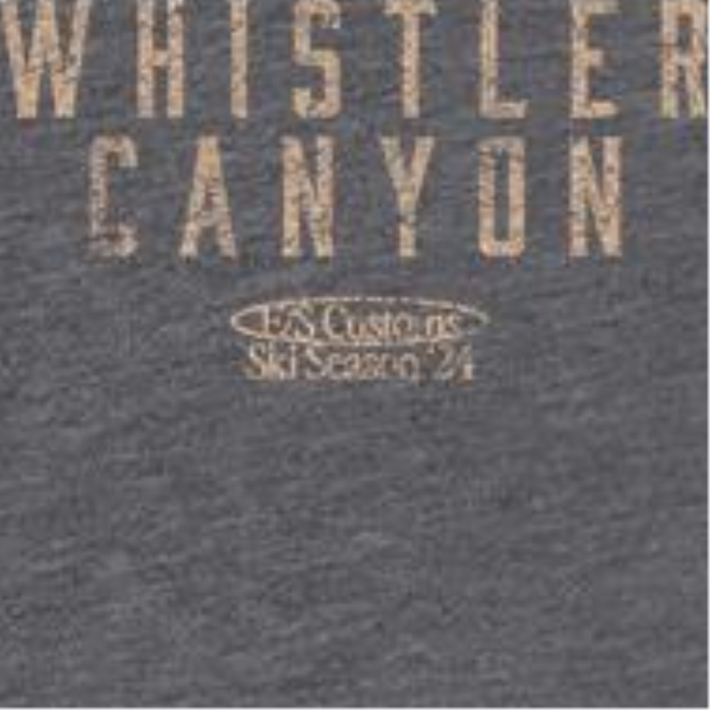 Skiing Whistler Dark Heather Front & Back Print T-Shirt