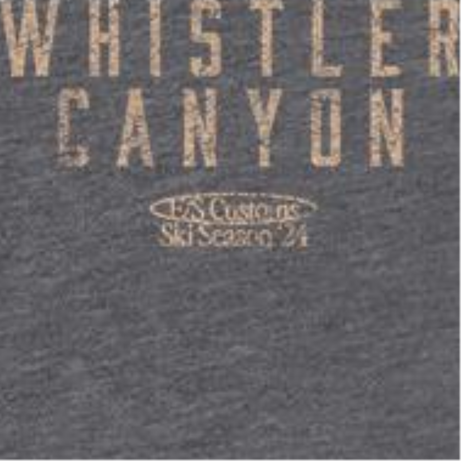 Skiing Whistler Dark Heather Front & Back Print T-Shirt