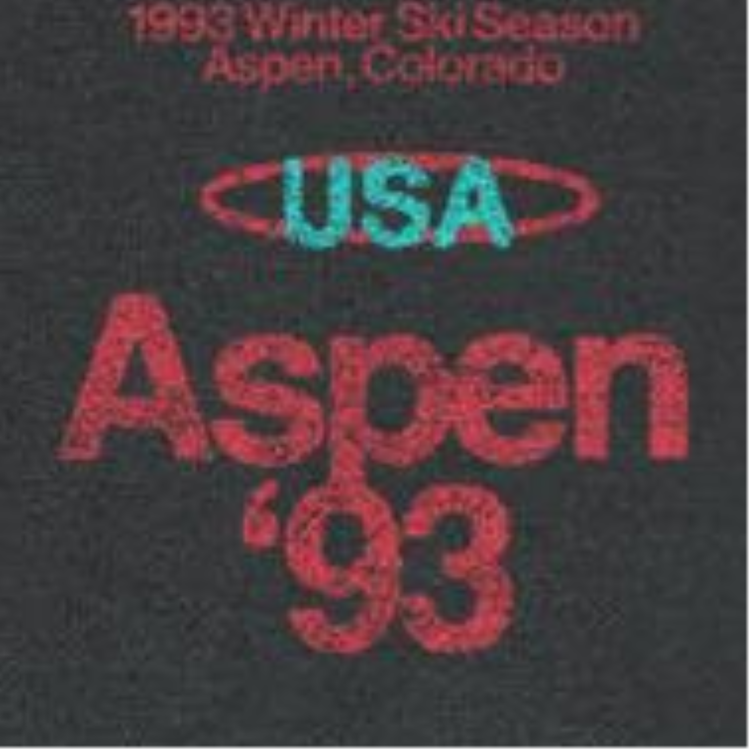 Ski Aspen '93 Front and Back Print Black T-Shirt