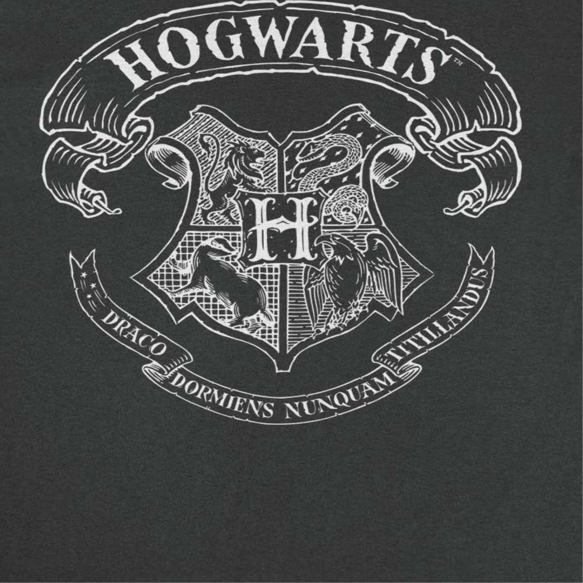 Harry Potter Draco Dormiens Nunquam Titillandus Black T-Shirt