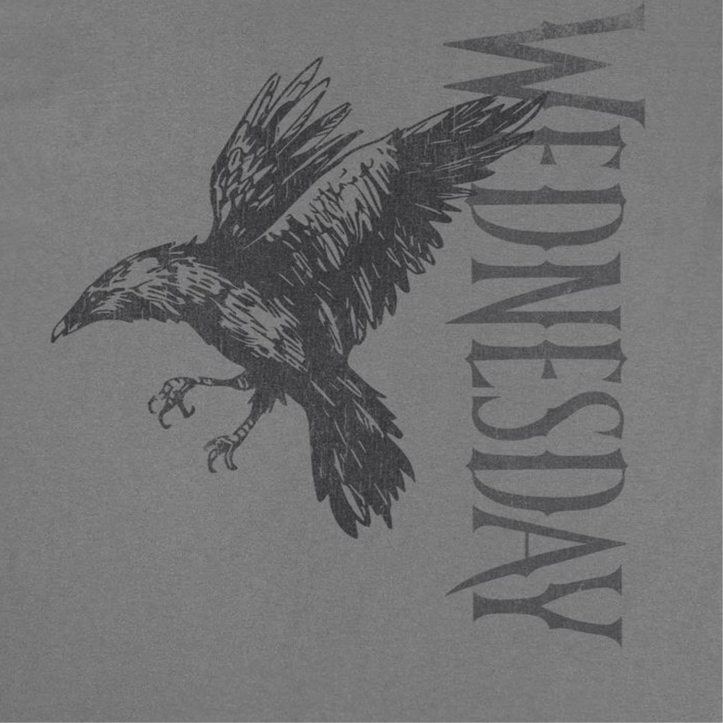 Wednesday Raven 2 Charcoal T-Shirt