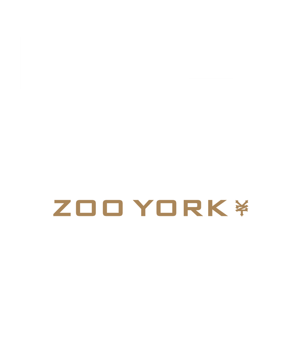 Zoo York 93 Athletic Style Nueva York Logo T-Shirt