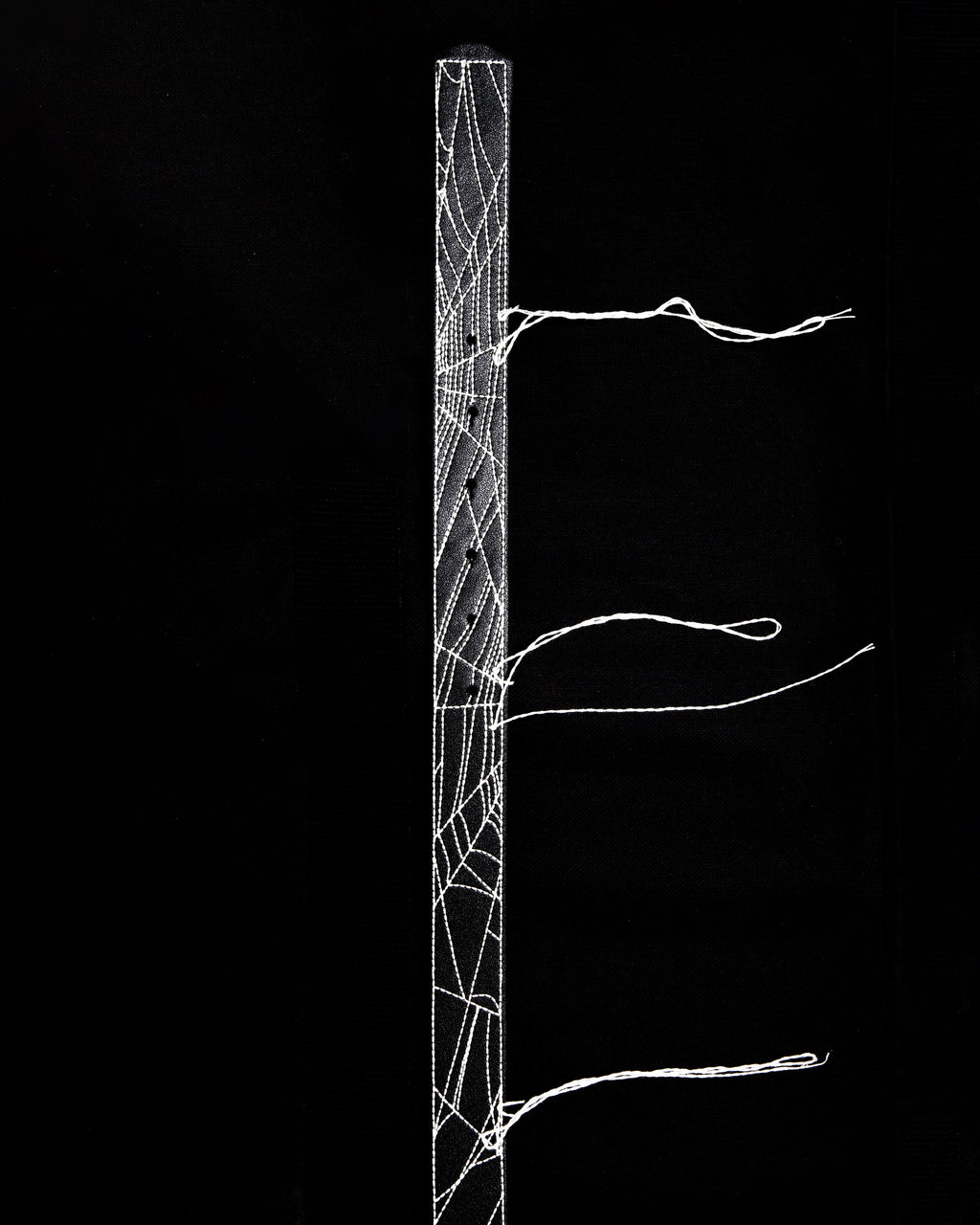 BL NIGHTWEB BELT
