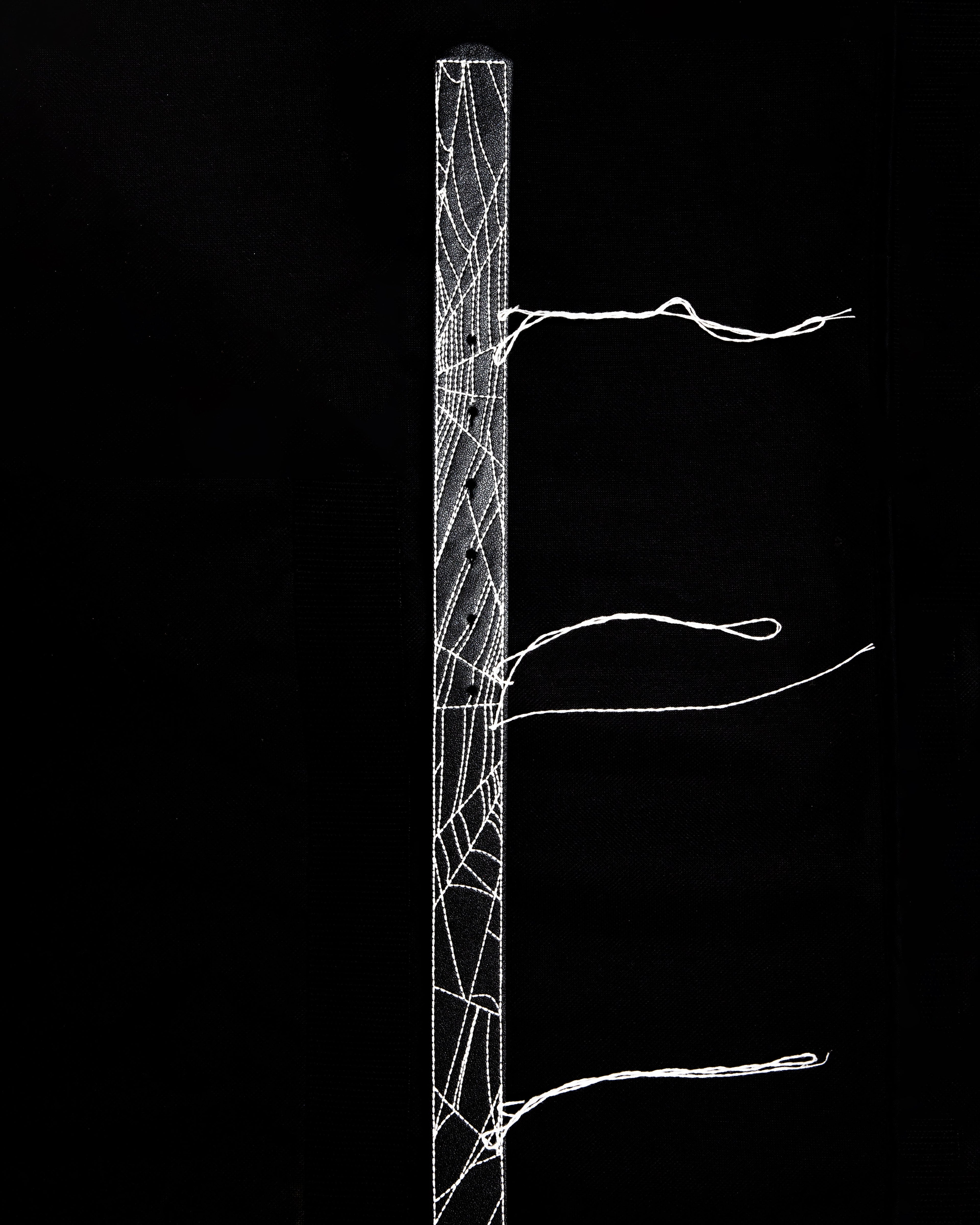 BL NIGHTWEB BELT