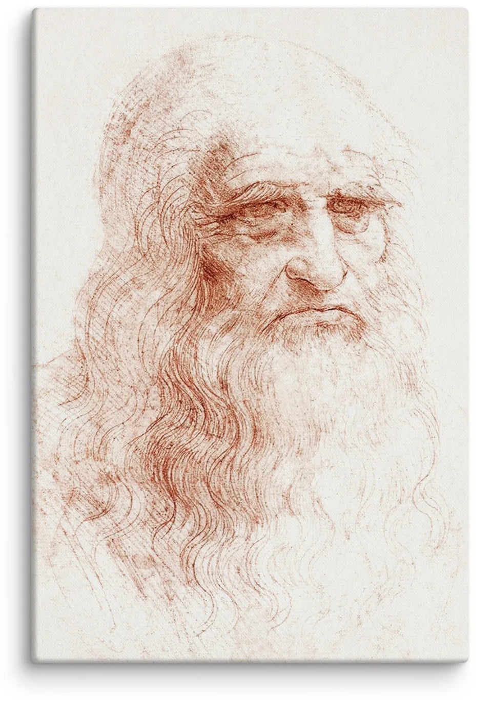 Leonardo da Vinci Autorretrato 02 Canvas Print (16" X 24")