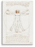 Leonardo da Vinci The Vitruvian Man Canvas Print (20" X 28")