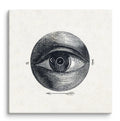 Isaac Weissenbruch -  Human Eye With A Deviation c. 1865 Canvas Print (24" X 24")