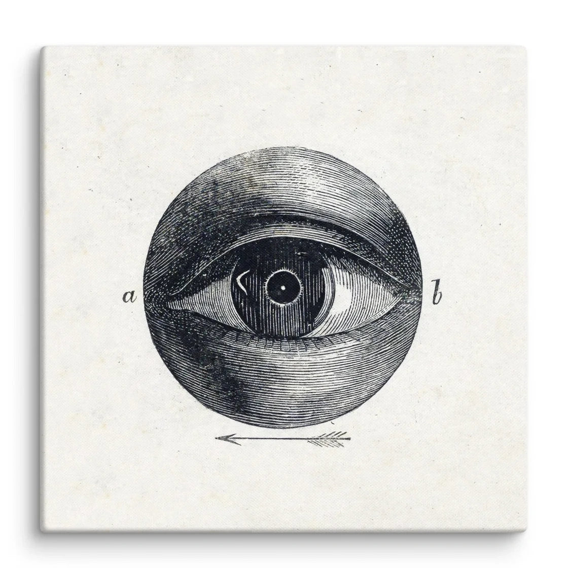 Isaac Weissenbruch -  Human Eye With A Deviation c. 1865 Canvas Print (24" X 24")