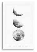 Mutationes Lunae Canvas Print (24" X 36")