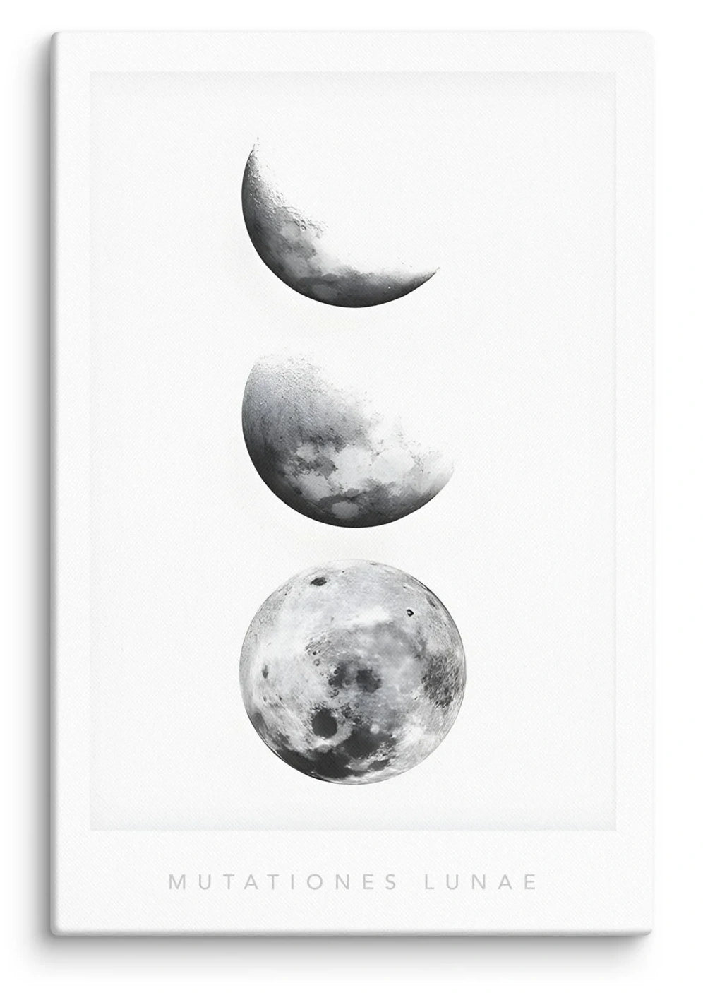Mutationes Lunae Canvas Print (24" X 36")