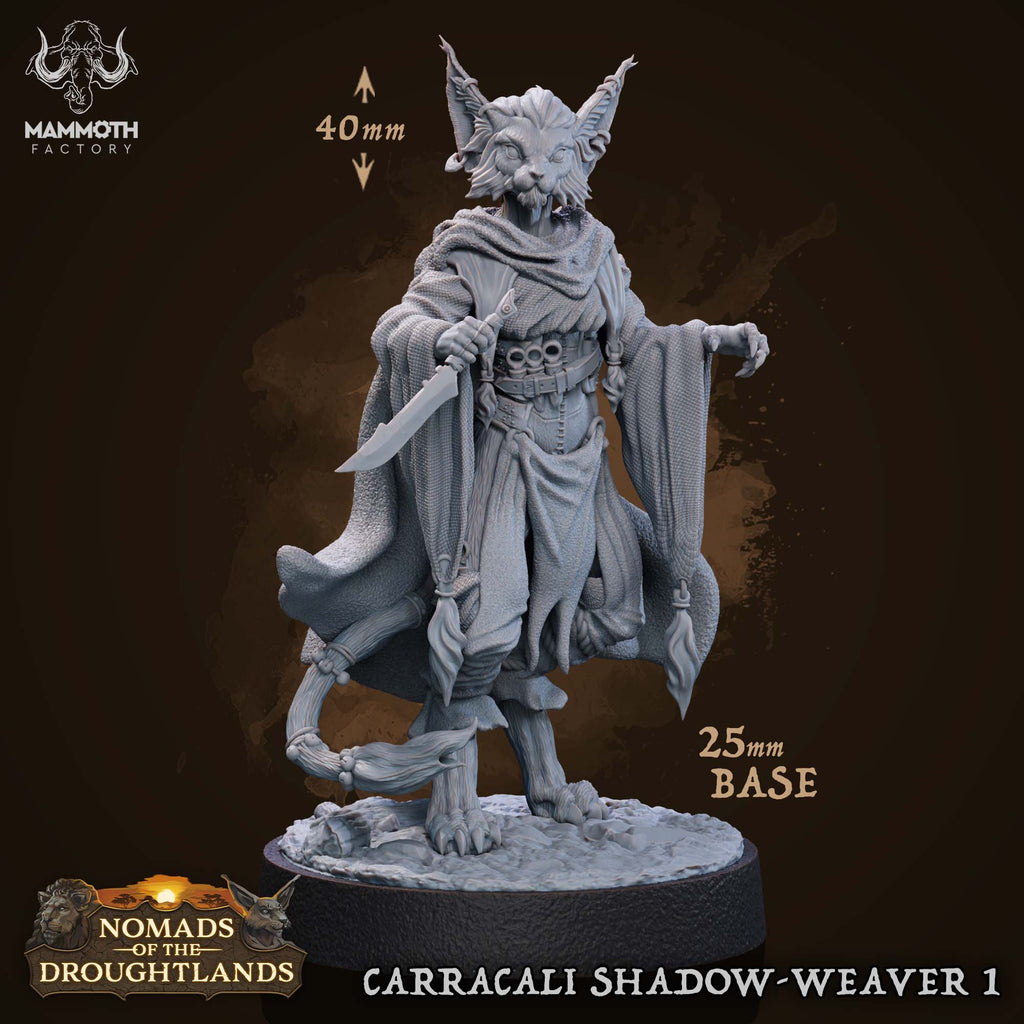 Carracali Shadow-Weaver: Sculpt 1 (Female Tabaxi Rogue)