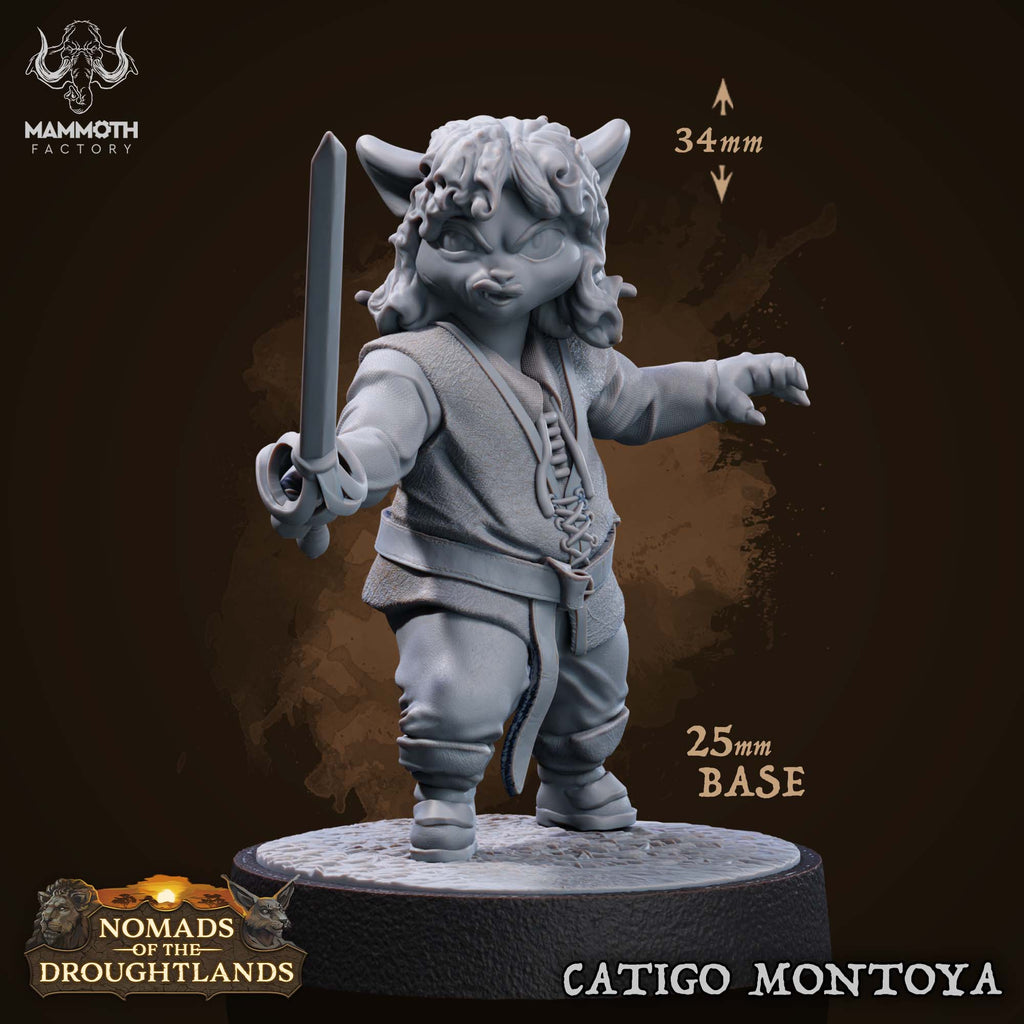 Catigo Montoya (Male Tabaxi Duelist)