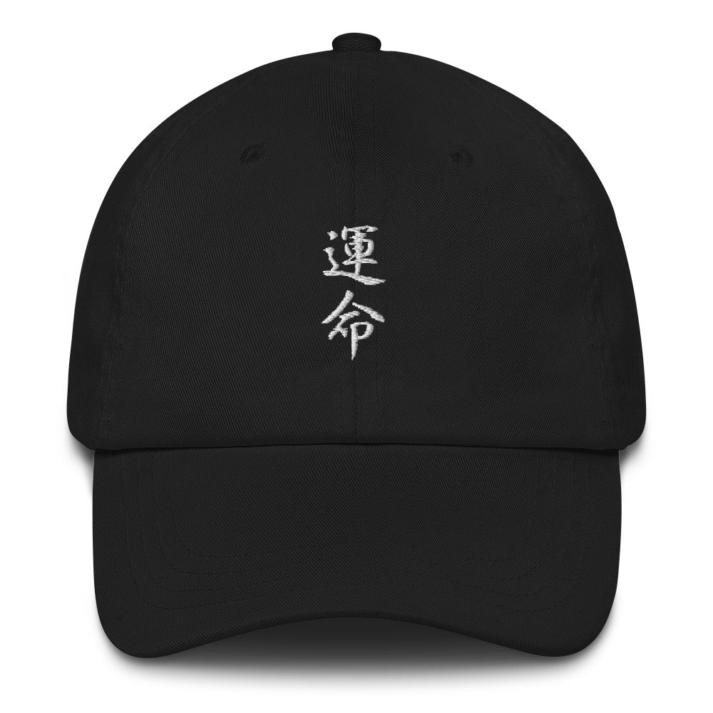 Destiny Hat