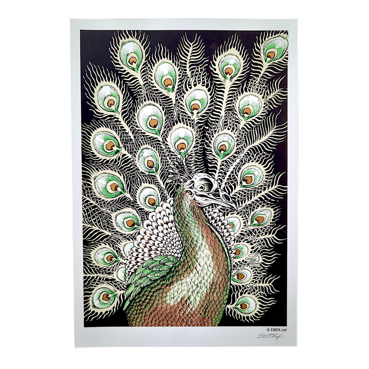 Emek “Peacock” Mini Print