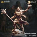 Hand of Seroca, Dark Cult Leader (Male Sun Elf Sorcerer)