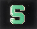 Michigan State University Spartans Premium Metal Pin, Lapel Hat Tie, Push Pin Backing