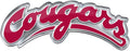 Washington State University Cougars Auto Emblem Color Metal Aluminum