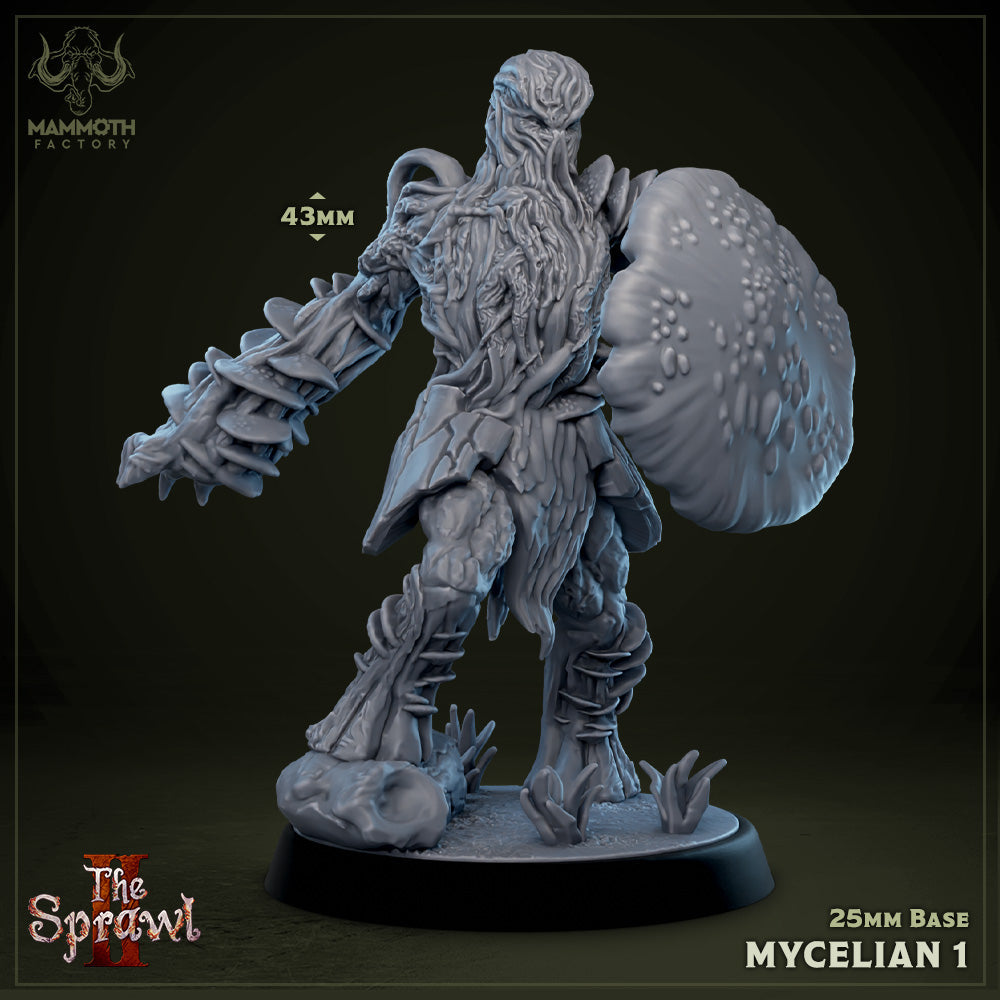 Mycelian 1 (Myconid Warrior)