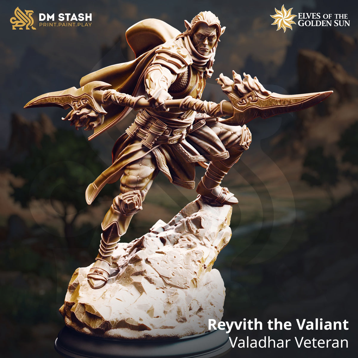 Reyvith the Valiant, Valadhar Veteran (Male Sun Elf Fighter)