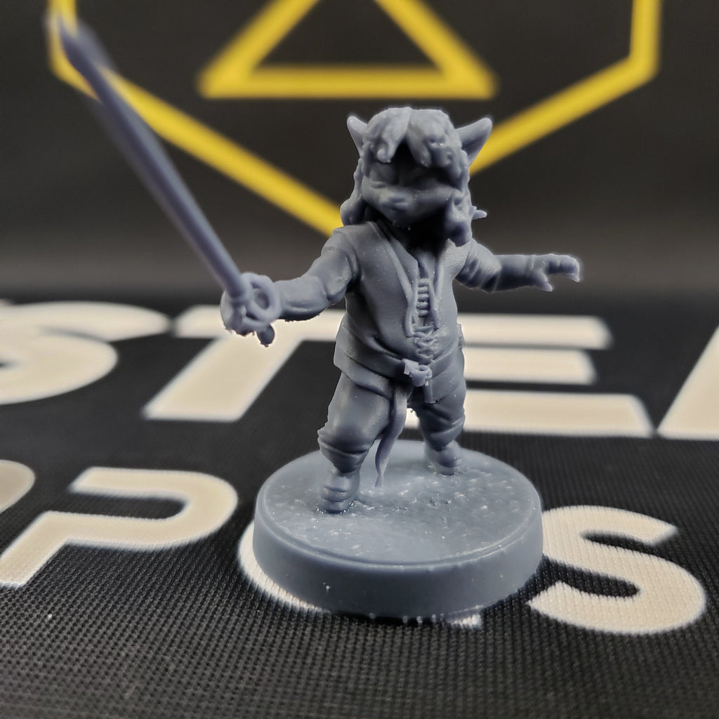 Catigo Montoya (Male Tabaxi Duelist)