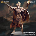 Vilryn Kaedrys (Male Sun Elf Gladiator)