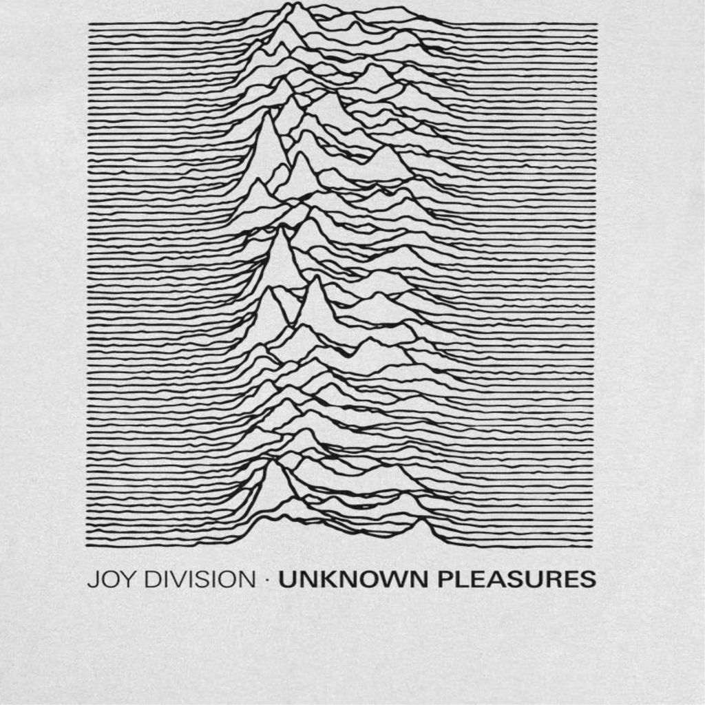 Joy Division Unknown Pleasures Text T-Shirt